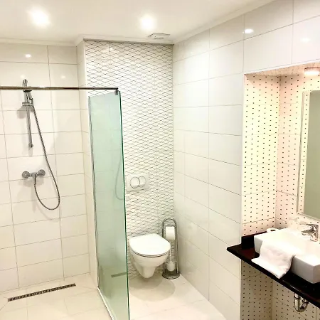 Borostyan Panzio Gasthof Kaposvár