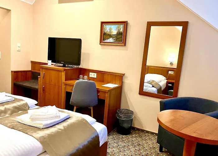 Borostyan Panzio Guest house 4*
