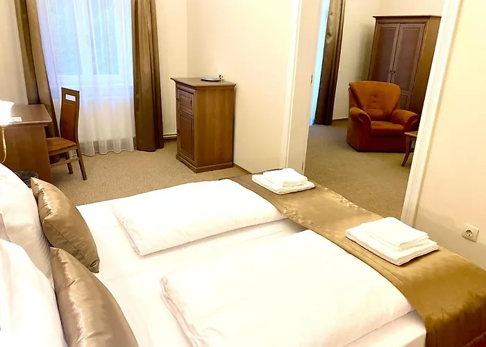 Borostyan Panzio Guest house